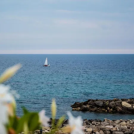 Chiaro Di Luna - Vista Mare Pisciotta